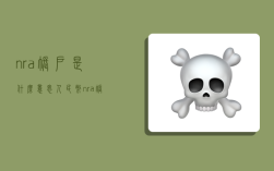 nra账户是什么意思,人民币nra账户是什么意思