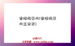 香港海事处(香港海事处王世发)