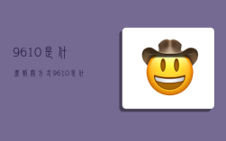 9610是什么报关方式,9610是什么报关方式类型