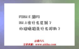 FORM E 跟FORM A有什么区别？办理流程是什么样的？