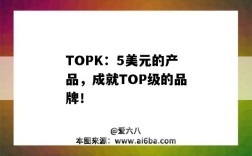 TOPK：5美元的产品，成就TOP级的品牌！（topeak品牌介绍）