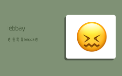 lebbay跨境电商,leapca跨境运营