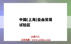 中国(上海)自由贸易试验区