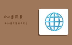 dsv国际货运,dsv国际货运有限公司