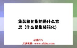 集装箱化指的是什么意思（什么是集装箱化)