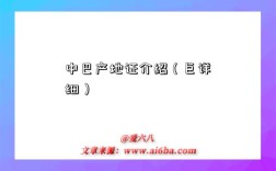 中巴产地证介绍（巨详细）