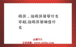 海关，出海关要带什么手续,出海关要检查什么