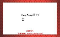 AmzBoost是什么