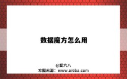 数据魔方怎么用（数据魔方怎么使用）