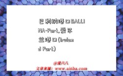 巴利纳港口BALLINA-Port,爱尔兰港口(Ireland Port)