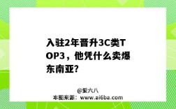 入驻2年晋升3C类TOP3，他凭什么卖爆东南亚？