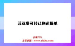 菲亚塔可转让联运提单