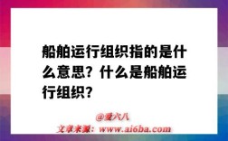 船舶运行组织指的是什么意思？什么是船舶运行组织？