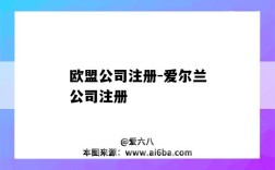 欧盟公司注册-爱尔兰公司注册（欧盟公司注册资料）