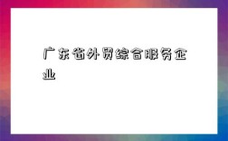 广东省外贸综合服务企业