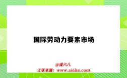 国际劳动力要素市场