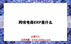 跨境电商ERP是什么（跨境电商erp是什么意思啊）