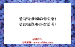 香港专业摄影师公会(香港摄影师协会成员)