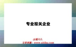 专业报关企业