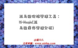 亚马逊价格管理工具：Ki-Magic(亚马逊库存管理分析)