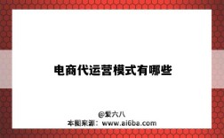 电商代运营模式有哪些（电子商务代运营模式）