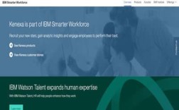 Kenexa(Kenexa官网)