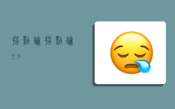 拐点论,拐点论 王石