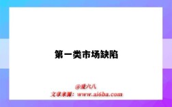 第一类市场缺陷