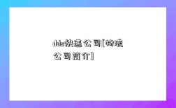 dds快递公司[物流公司简介]