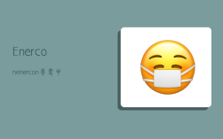 Enercon(enercon风电中文名字)