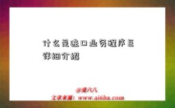 什么是进口业务程序巨详细介绍