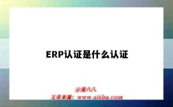 ERP认证是什么认证（ERP是什么认证）