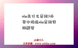 ebs是什么费用?外贸中海运ebs费用详细解答