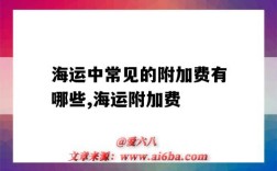海运中常见的附加费有哪些,海运附加费（海运附加费包括哪些）