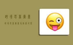 跨境电商广义,跨境电商广义和狭义的概念