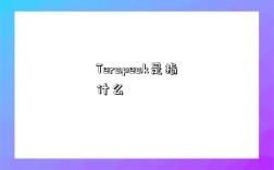 Terapeak是指什么