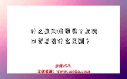 什么是间接贸易？与转口贸易有什么区别？