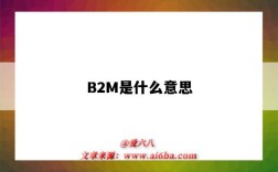 B2M是什么意思（驾驶证b2m是什么意思）