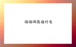 拍拍网是指什么