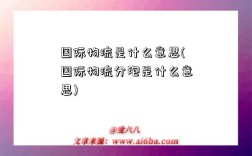 国际物流是什么意思(国际物流分泡是什么意思)