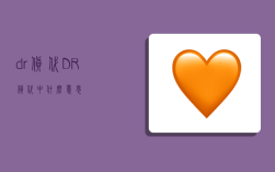 dr货代,DR货代中什么意思