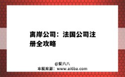 离岸公司：法国公司注册全攻略（美国离岸公司注册）