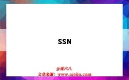 SSN（ssn是什么意思）