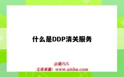 什么是DDP清关服务（DDP清关）