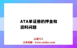 ATA单证册的押金和资料问题（ata单证册押金多少）