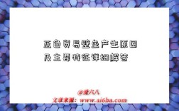 蓝色贸易壁垒产生原因及主要特征详细解答