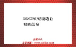 REACH认证流程及详细解读