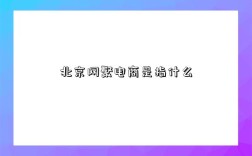 北京网聚电商是指什么