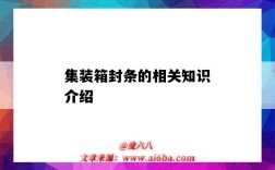 集装箱封条的相关知识介绍（集装箱封条百科）