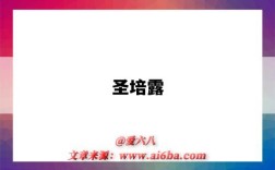 圣培露（圣培露气泡水）